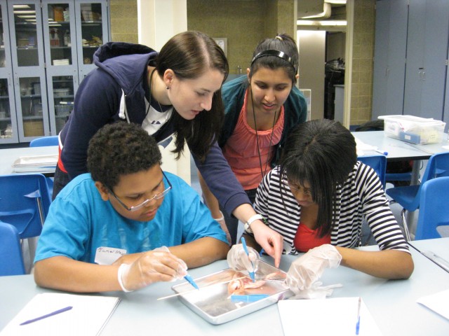 Sarah Wohlman (L) and Mukta Vaidya (R) point out tendons in a chicken wing dissection. Cool!